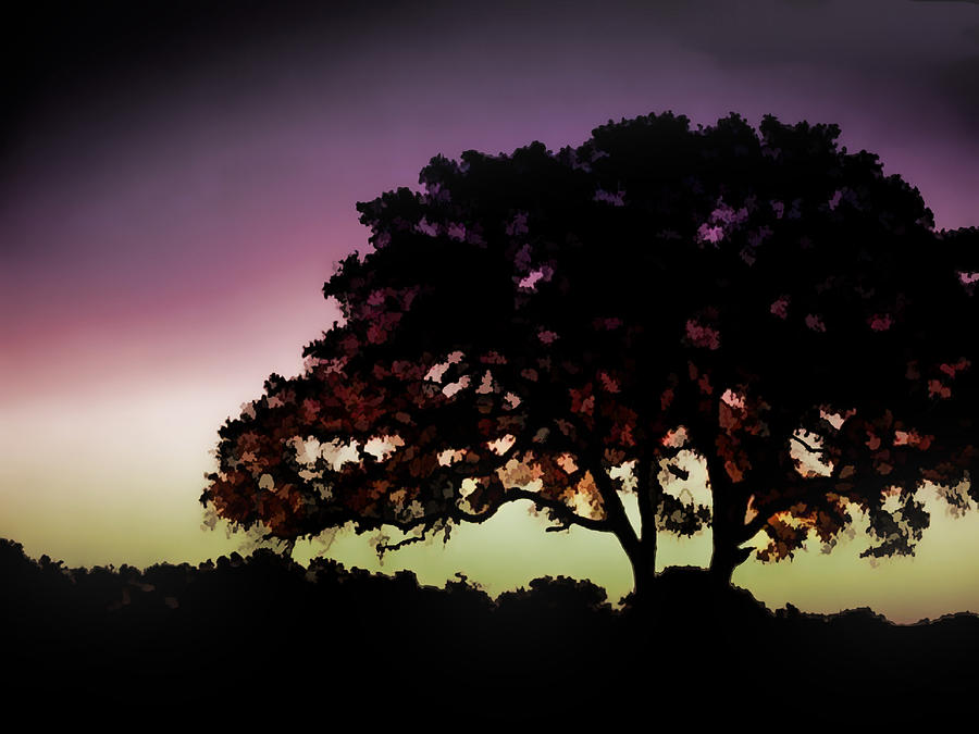 900x675 Purple Sunset Green Flash And Oak Tree Silhouette Painting By - Tree Silhouette Painting