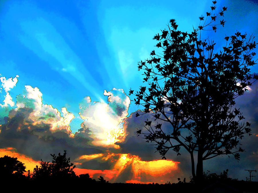 900x675 Sunburst Behind Clouds With Tree Silhouette Painting By Elaine - Tree Silhouette Painting