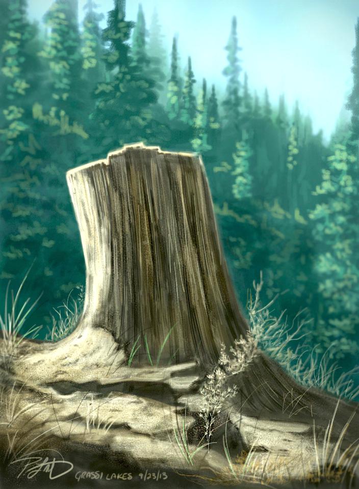 704x960 Tree Stump Painting Painted White Kidtail - Tree Stump Painting