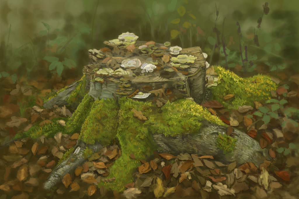 1024x683 Tree Stump Study - Tree Stump Painting