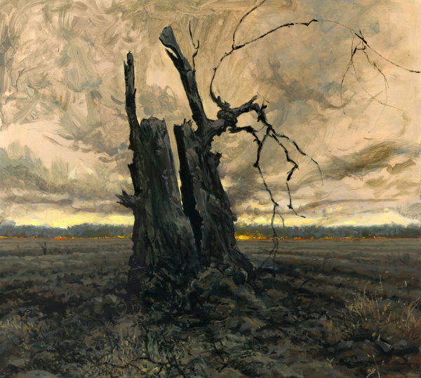 600x540 David Higgins - Tree Stump Painting