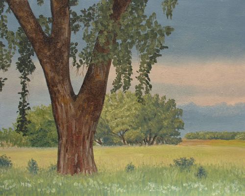 500x401 Half Sigma Tree After Storm - Tree Trunk Painting