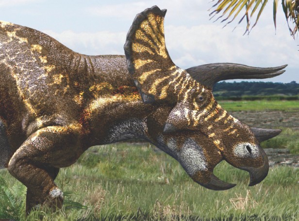 616x456 Top 5 Facts Triceratops How It Works Magazine - Triceratops Painting