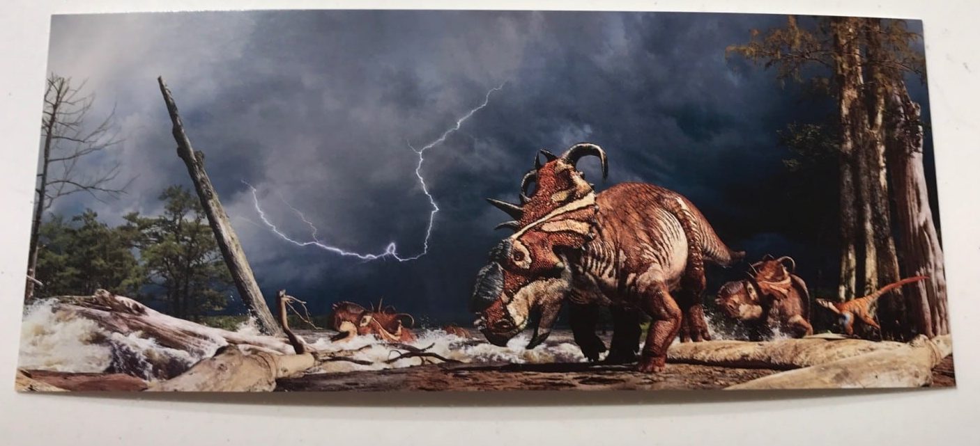 1406x641 Triceratops Lightning Postcard - Triceratops Painting