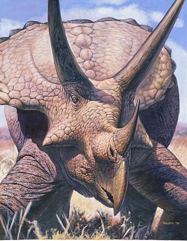 366x470 Triceratops Horribilis - Triceratops Painting