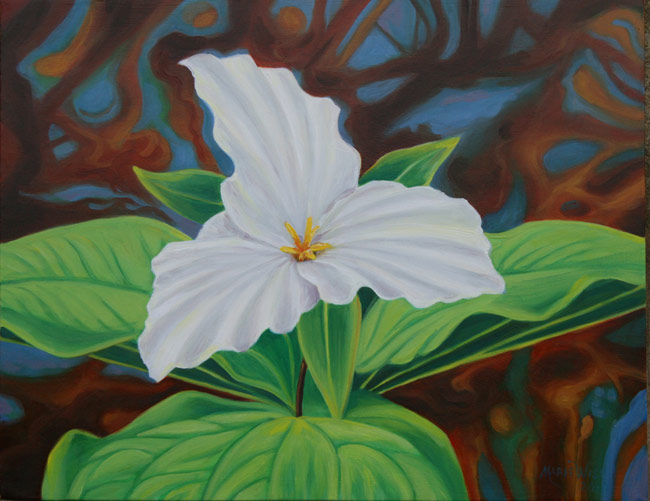 650x501 Trillium - Trillium Painting