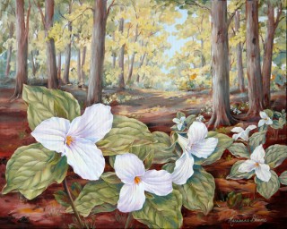 320x256 Reproductions - Trillium Painting