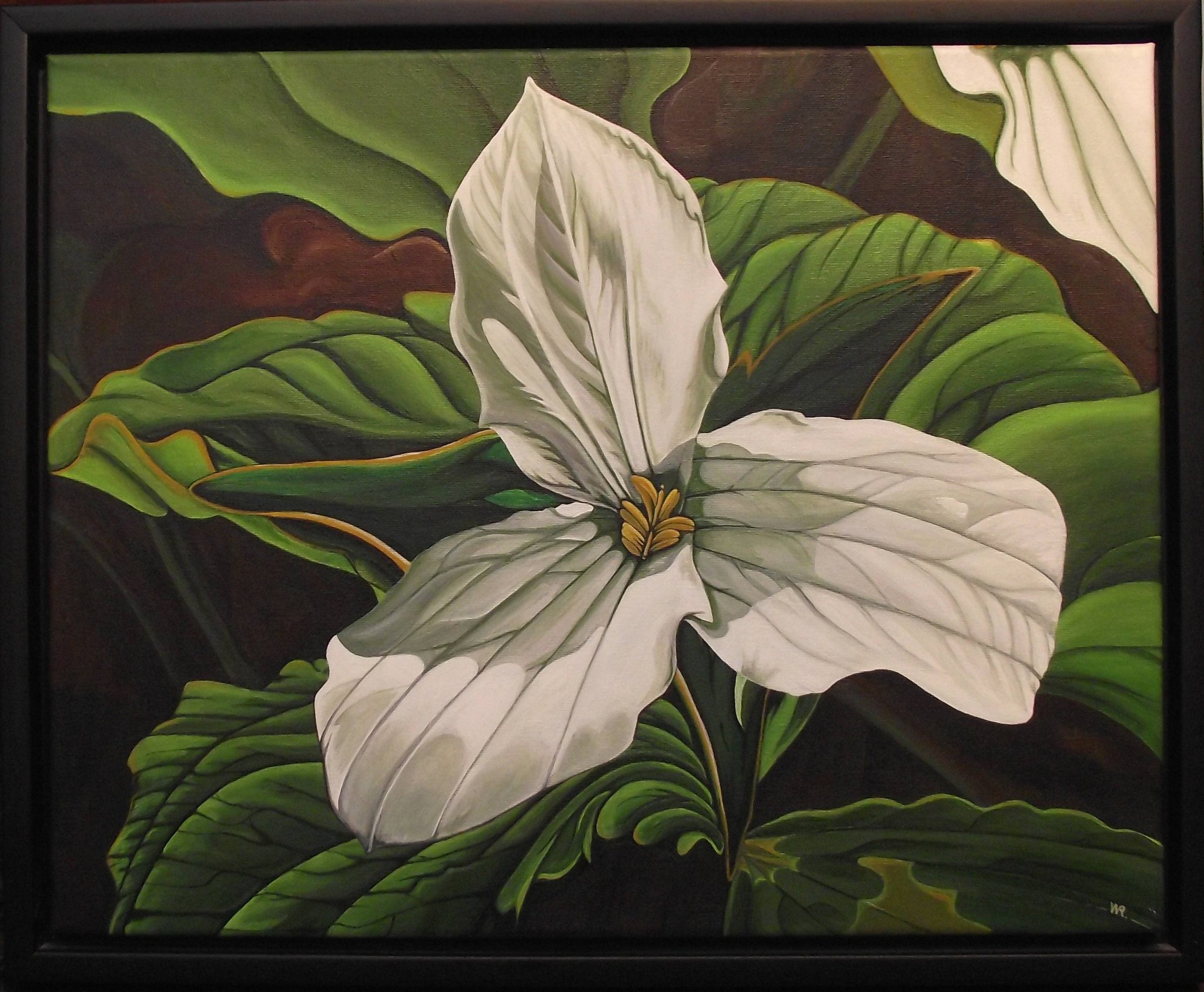 2048x1688 Trillium Art By Wr - Trillium Painting