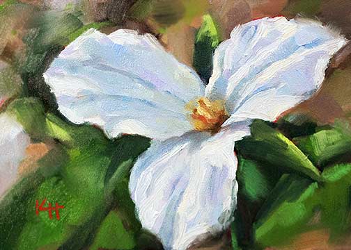 504x360 White Trillium Daily Oil Painting Impasto By Krista Hasson - Trillium Painting