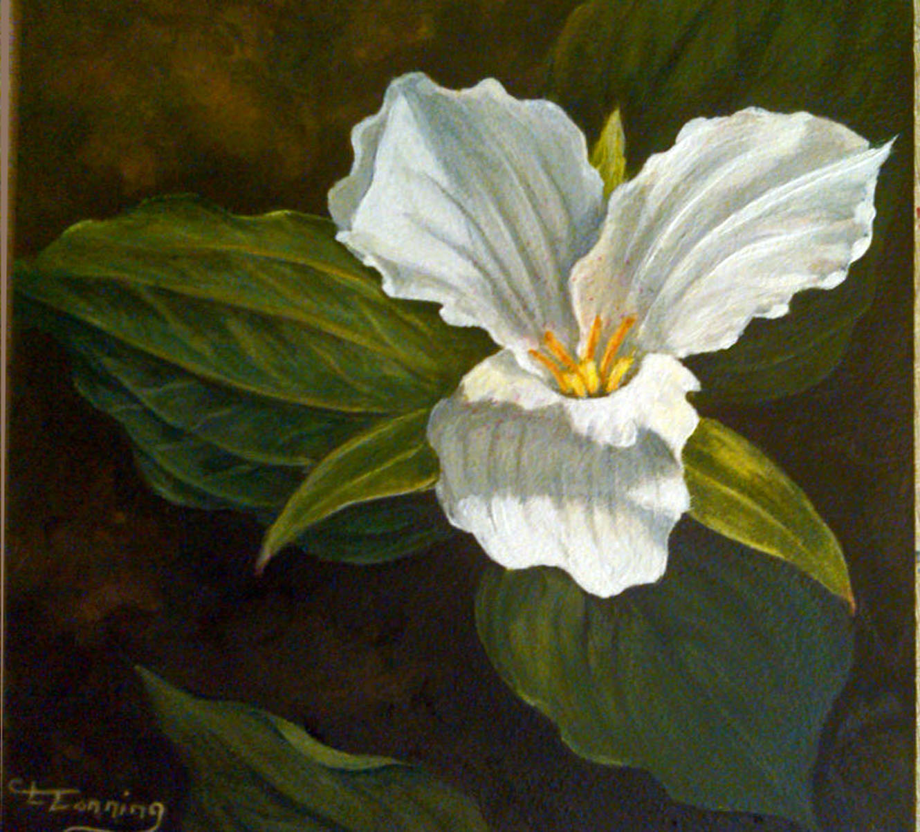 1330x1203 My Call To Art By Catherine Tonning An Artist's Birthright - Trillium Painting
