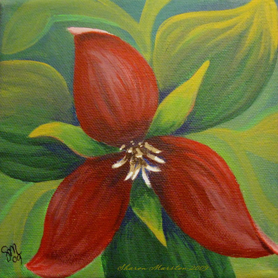 900x900 Purple Trillium Painting By Sharon Marcella Marston - Trillium Painting