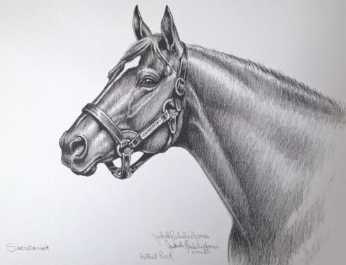500x384 Decent Secretariat Triple Crown Signed Drawing Horse Racing Equine - Triple Crown Painting