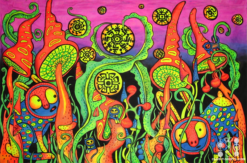 800x529 Trippy Art - Trippy Mushroom Painting