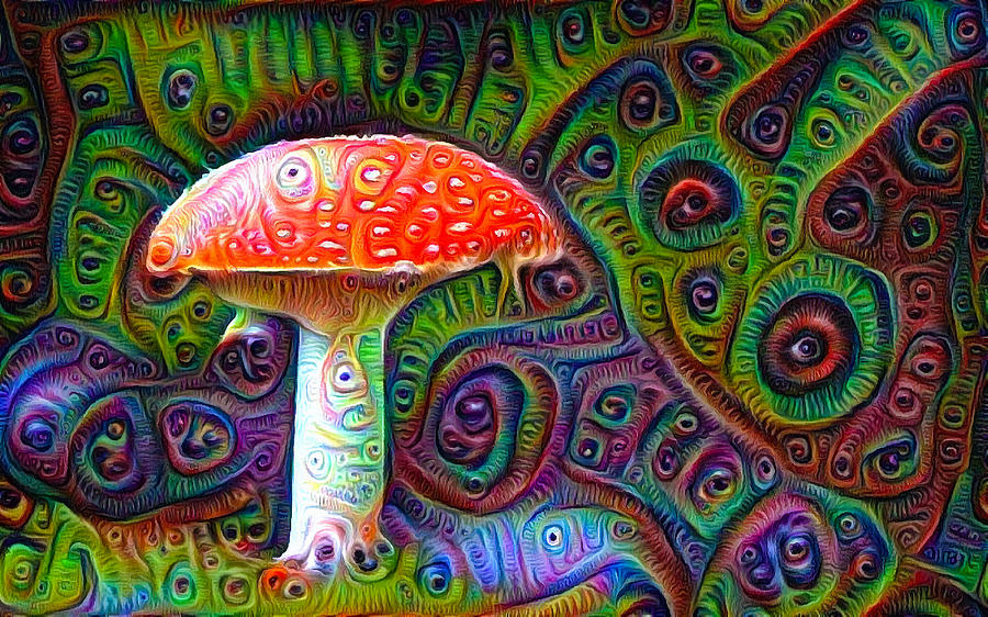 Trippy Mushroom Painting at Explore collection of
