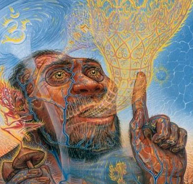 385x368 Mushroom Drawings - Trippy Mushroom Painting