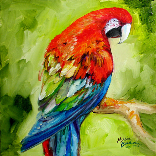 500x500 Painting Macaw Tropical Bird Original Oil Painting 16 X 16 By M - Tropical Bird Painting