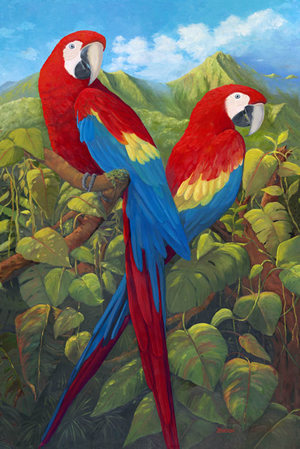 300x449 Back To Category (Tropical Birds Amp Flowers) - Tropical Bird Painting