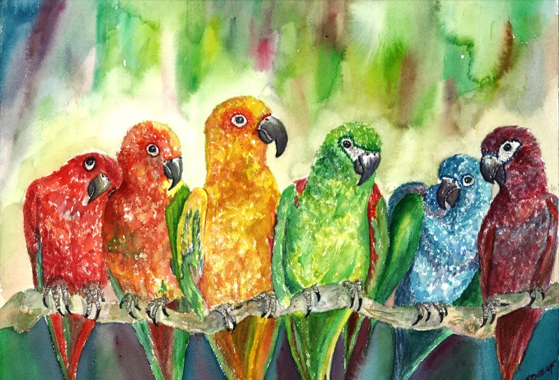800x544 Tropical Birds The National Arts Program Foundation - Tropical Bird Painting