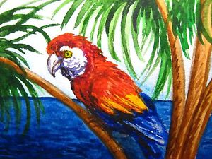300x225 Watercolor Painting Tropical Bird Parrot Palm Tree Ocean Nature - Tropical Bird Painting