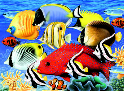 400x292 A3 Painting By Numbers Kit - Tropical Fish Painting
