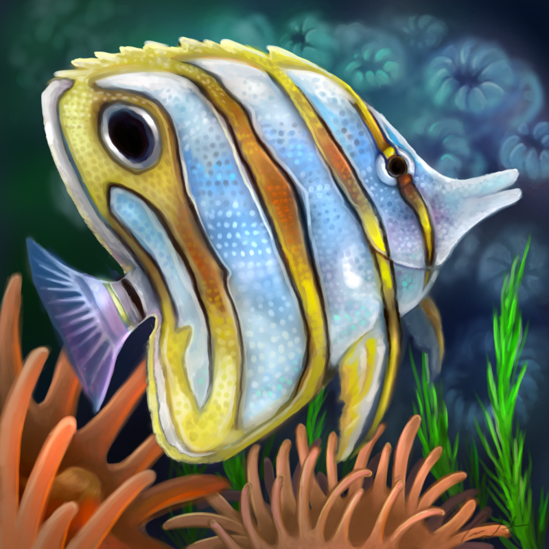 800x800 Layer Paint Tropical Copperband Butterfly Fish By Charfade - Tropical Fish Painting