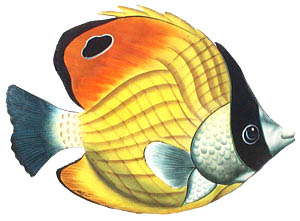 300x221 Yellow Amp Black Tropical Fish Metal Wall Hanging - Tropical Fish Painting