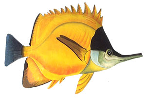 300x203 Gold Amp Black Tropical Fish Wall Decor - Tropical Fish Painting