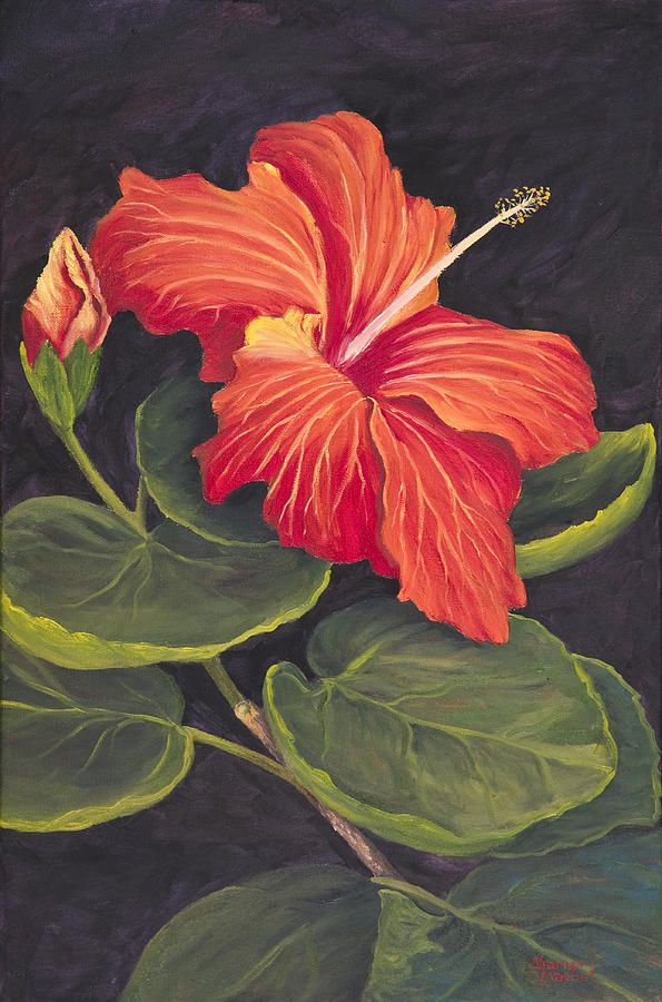 595x900 Tropical Flower Painting - Tropical Flower Painting