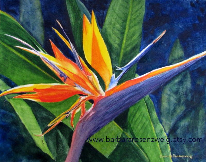 800x630 Tropical Flower Print Bird Of Paradise Exotic Flower - Tropical Flower Painting