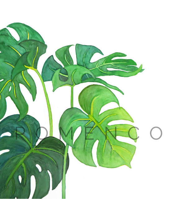 Tropical Leaves Painting at PaintingValley.com | Explore collection of ...