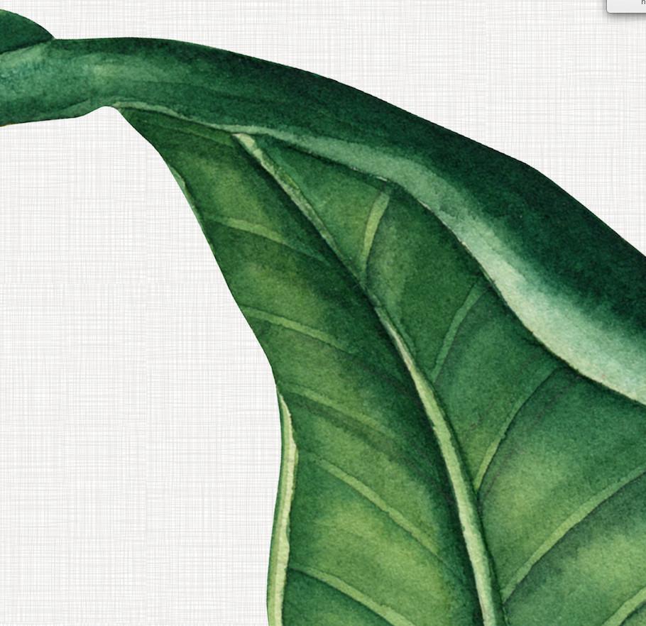 910x882 Tropical Leaves - Tropical Leaves Painting