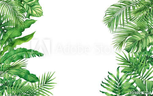 500x313 Watercolor Painting Frame Tropical Leaves Coconut,palm,green Leaf - Tropical Leaves Painting