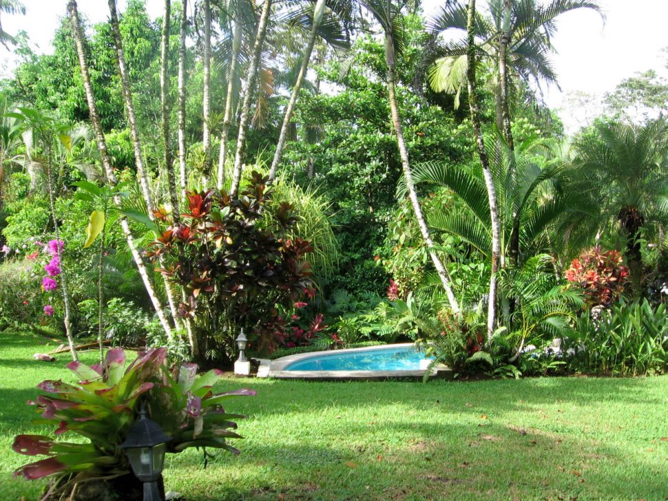 970x728 Garden Tropical Paintings Planting Ideas Plants Front Lighting - Tropical Painting Ideas