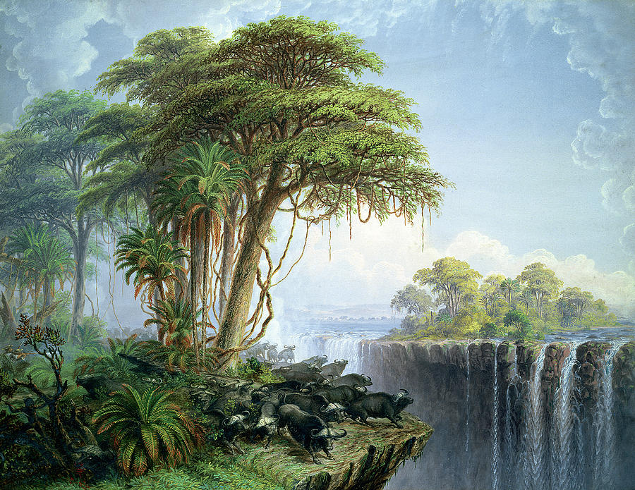 Tropical Rainforest Painting at PaintingValley.com | Explore collection