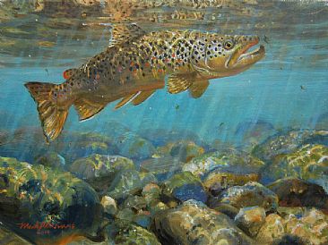 366x274 Brown Trout - Trout Painting