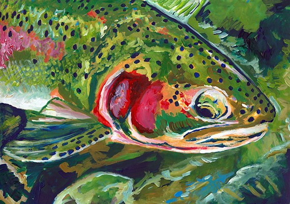 570x401 Sitting Rainbow Trout Painting Wall Art Print Jack Tarpon Art - Trout Painting