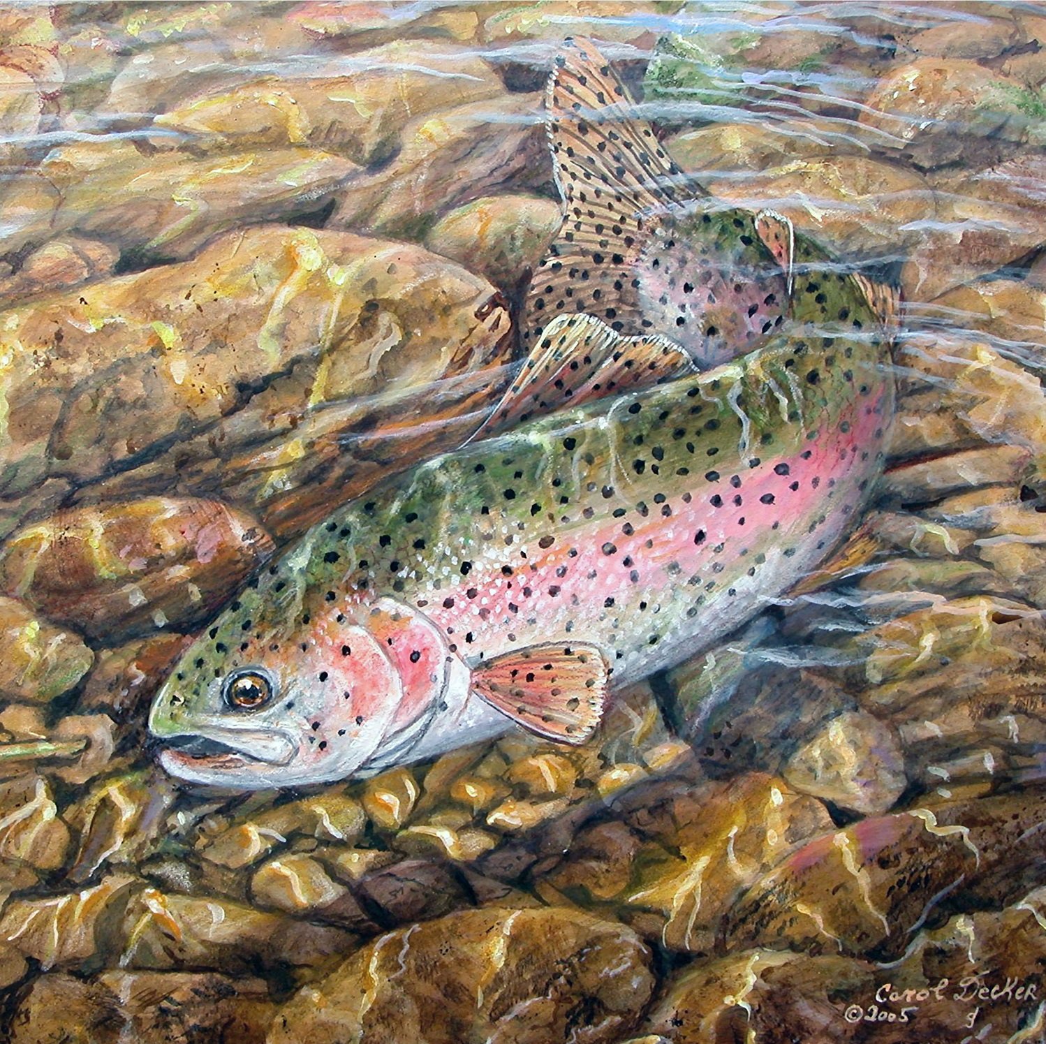 1498x1495 Wgi Gallery - Trout Painting