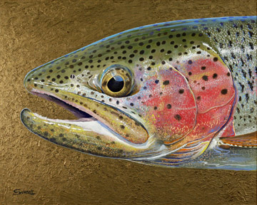 360x288 Rainbow Trout Painting Archives - Trout Painting