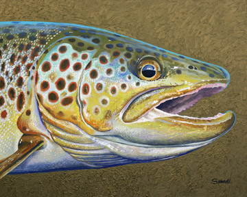 360x288 Trout Painting Archives - Trout Painting