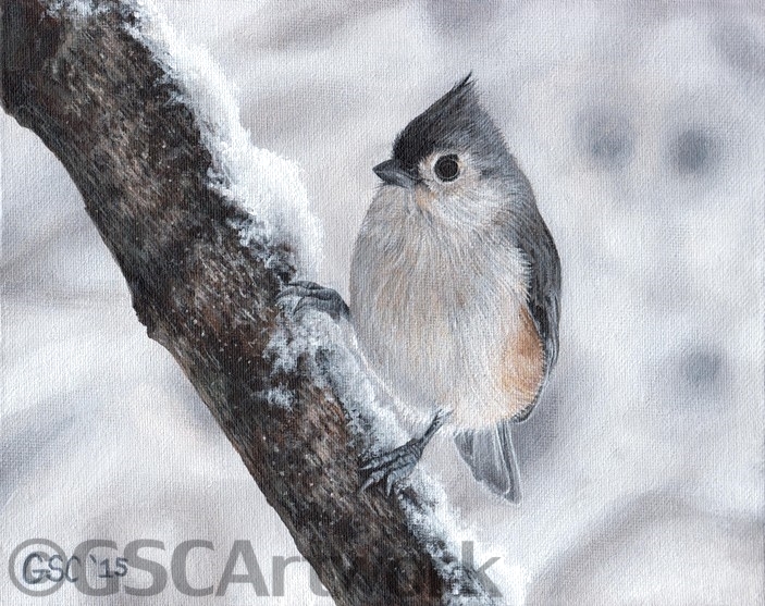703x557 Gsc Artwork Gallery Acrylic Paintings - Tufted Titmouse Painting