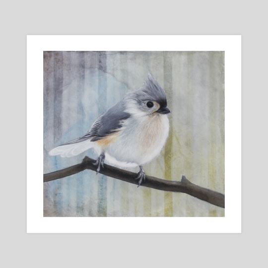 540x540 Tufted Titmouse , An Art Print By Tom Schmitt - Tufted Titmouse Painting