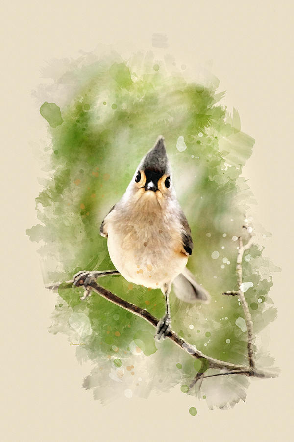 600x900 Tufted Titmouse - Tufted Titmouse Painting