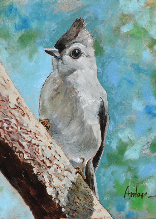 500x700 Tufted Titmouse Art Fine Art America - Tufted Titmouse Painting