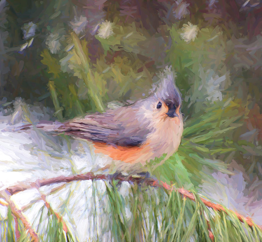 900x831 Tufted Titmouse On A Pine Branch - Tufted Titmouse Painting