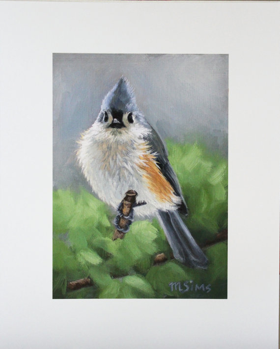 570x711 Tufted Titmouse Titmouse Bird Painting Songbird Art - Tufted Titmouse Painting