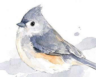 340x270 Tufted Titmouse Watercolor Painting Card Bird Watercolor - Tufted Titmouse Painting