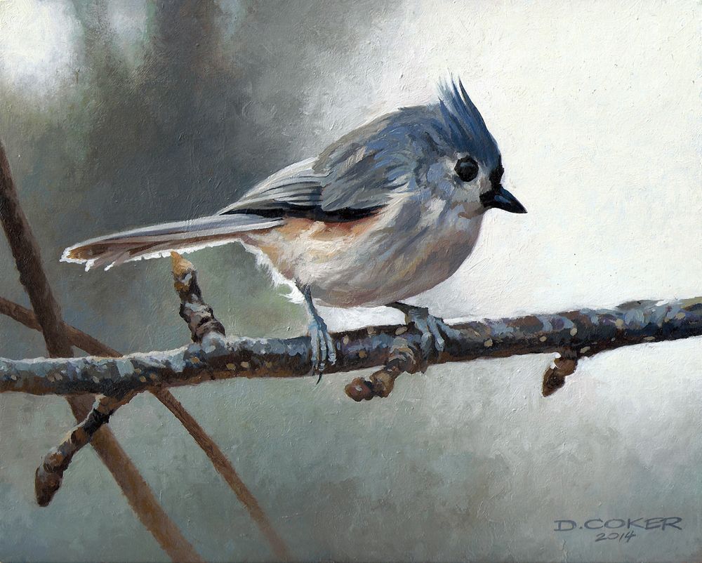 1000x802 Tufted Titmouse.jpg Art Bird - Tufted Titmouse Painting