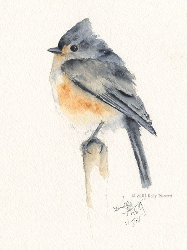 598x800 A Watercolor Painting Of A Tufted Titmouse (Baeolophus Bicolor - Tufted Titmouse Painting