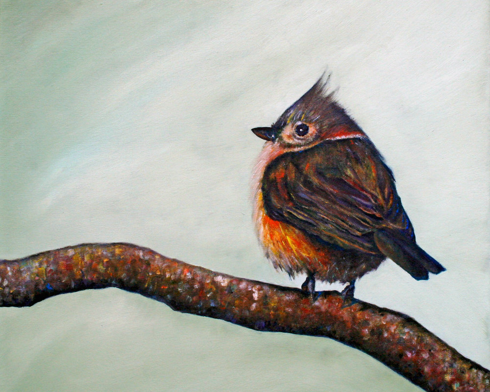 1000x800 Carrie Goller - Tufted Titmouse Painting