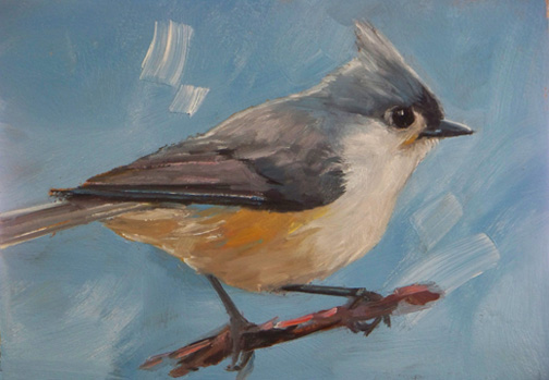 504x349 Color And Light December 2011 - Tufted Titmouse Painting